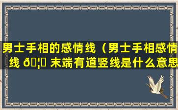 男士手相的感情线（男士手相感情线 🦅 末端有道竖线是什么意思）